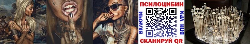 Купить где  Исилькуль  Галлюциногенные грибы мухоморы 